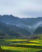 洪忠佩:虹關的墨香